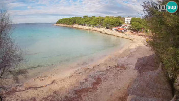 Snímek 8.11.2025 v 09:15