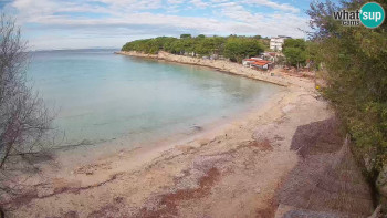 Snímek 8.11.2025 v 09:30