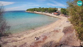 Snímek 8.11.2025 v 12:00