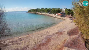 Snímek 14.11.2025 v 14:15