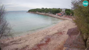 Snímek 15.11.2025 v 08:45