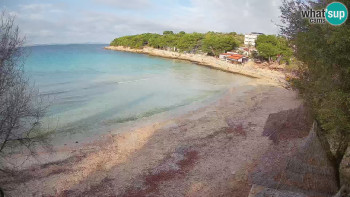 Snímek 16.11.2025 v 09:00