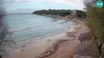 Snímek 17.11.2025 v 08:00