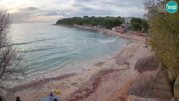 Snímek 17.11.2025 v 15:30