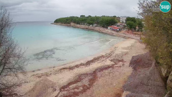 Snímek 21.11.2025 v 12:15