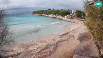 Snímek 22.11.2025 v 12:15