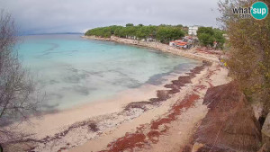 Murter - Pláž Slanica - 26.11.2025 v 11:30 Murter - Pláž Slanica - 26.11.2025 v 11:30