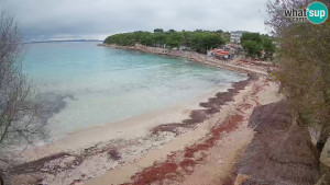 Murter - Pláž Slanica - 26.11.2025 v 14:00 Murter - Pláž Slanica - 26.11.2025 v 14:00