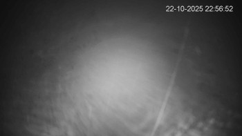 Snímek    22.10.2025 v 23:00