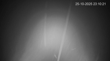 Snímek    25.10.2025 v 23:15