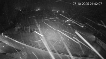 Snímek    27.10.2025 v 21:45