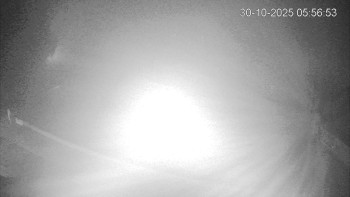 Snímek    30.10.2025 v 06:00