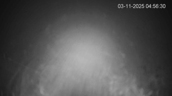 Snímek    3.11.2025 v 05:00