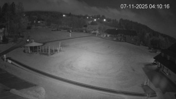 Snímek 7.11.2025 v 04:15