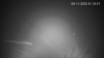 Snímek 9.11.2025 v 01:15