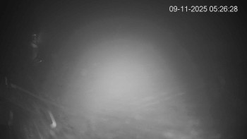 Snímek 9.11.2025 v 05:30