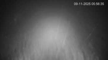 Snímek 9.11.2025 v 06:00