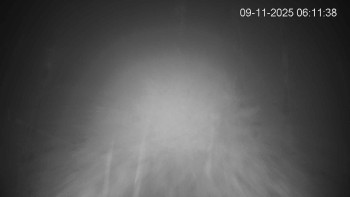 Snímek 9.11.2025 v 06:15