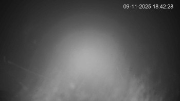 Snímek 9.11.2025 v 18:45