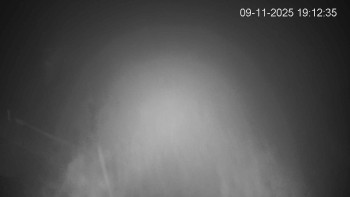 Snímek 9.11.2025 v 19:15