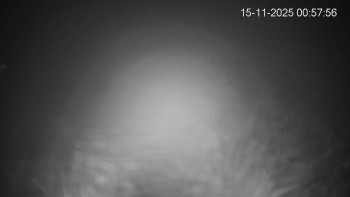 Snímek 15.11.2025 v 01:00