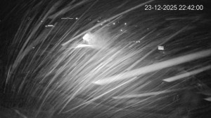 Obec Benecko - Dětský park - 23.12.2025 v 22:45 Obec Benecko - Dětský park - 23.12.2025 v 22:45