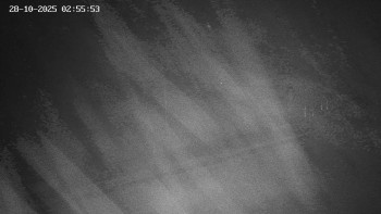 Snímek    28.10.2025 v 03:00