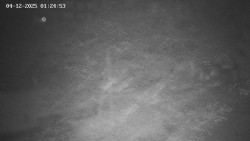 Family aréna, snowtubing