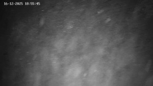 Obec Benecko - Family aréna, snowtubing - 16.12.2025 v 19:00 Obec Benecko - Family aréna, snowtubing - 16.12.2025 v 19:00