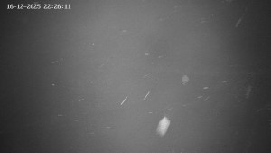 Obec Benecko - Family aréna, snowtubing - 16.12.2025 v 22:30 Obec Benecko - Family aréna, snowtubing - 16.12.2025 v 22:30