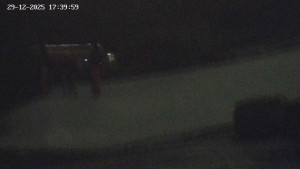 Obec Benecko - Family aréna, snowtubing - 29.12.2025 v 17:45 Obec Benecko - Family aréna, snowtubing - 29.12.2025 v 17:45