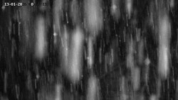 Family aréna, snowtubing