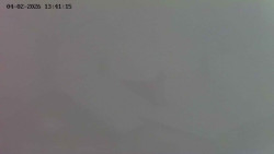 Family aréna, snowtubing