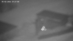 Family aréna, snowtubing