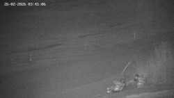 Family aréna, snowtubing