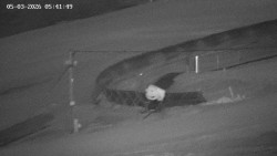 Family aréna, snowtubing