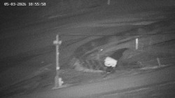 Family aréna, snowtubing