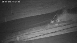 Family aréna, snowtubing