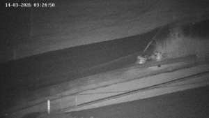 Obec Benecko - Family aréna, snowtubing - 14.3.2026 v 03:30 Obec Benecko - Family aréna, snowtubing - 14.3.2026 v 03:30