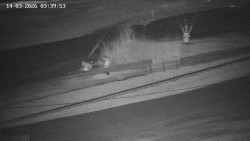 Family aréna, snowtubing