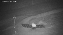 Family aréna, snowtubing