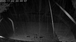 CHKO Pálava - Kite Beach Pavlov - 2.11.2025 v 22:45 CHKO Pálava - Kite Beach Pavlov - 2.11.2025 v 22:45