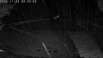 Snímek    2.11.2025 v 23:00