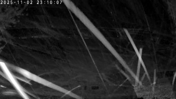 Snímek    2.11.2025 v 23:15