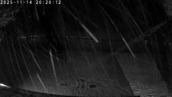 Snímek 14.11.2025 v 20:30