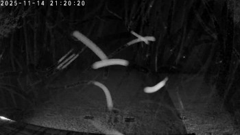 Snímek 14.11.2025 v 21:30