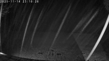 Snímek 14.11.2025 v 23:15