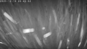 CHKO Pálava - Kite Beach Pavlov - 10.12.2025 v 20:45 CHKO Pálava - Kite Beach Pavlov - 10.12.2025 v 20:45