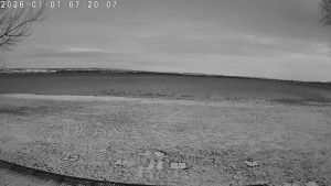 CHKO Pálava - Kite Beach Pavlov - 1.1.2026 v 07:30 CHKO Pálava - Kite Beach Pavlov - 1.1.2026 v 07:30