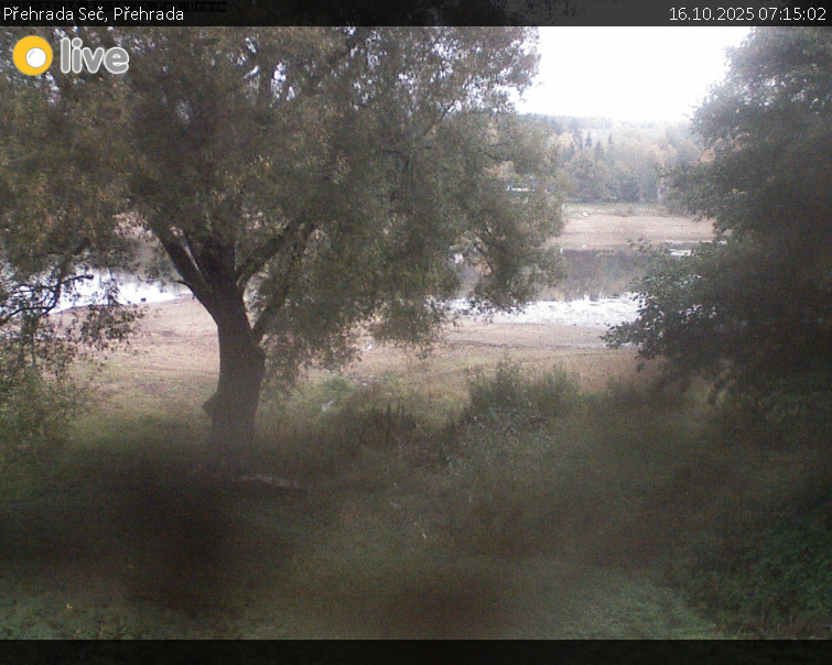 Přehrada Seč - Přehrada - 16.10.2025 v 07:15 Přehrada Seč - Přehrada - 16.10.2025 v 07:15